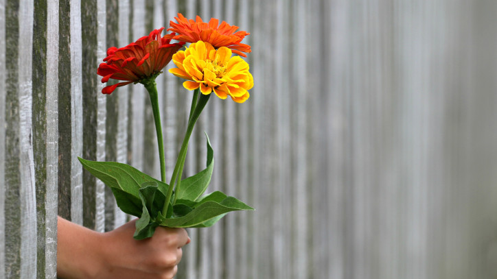 blumen